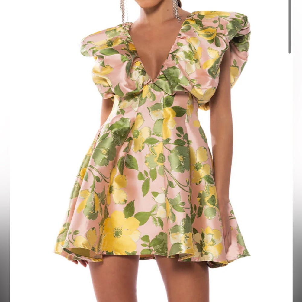 NWT Klesis Size L SOLD OUT Floral Puff Sleeve Dress